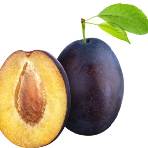 Obrázok